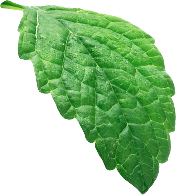 leafe image